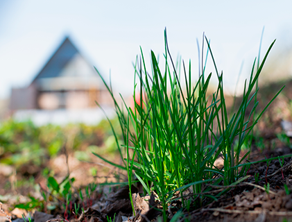 Защита прав собственника земельного участка, учтенного с кадастровой ошибкой