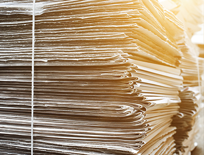 Статья в «Орловской городской газете»